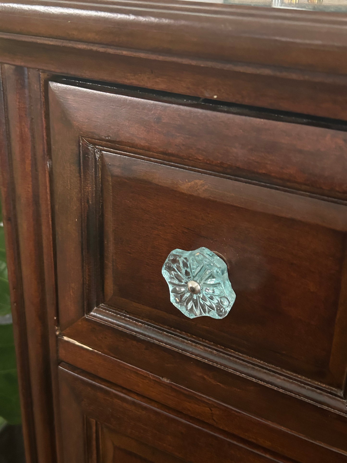 Sea Flower Glass Knob