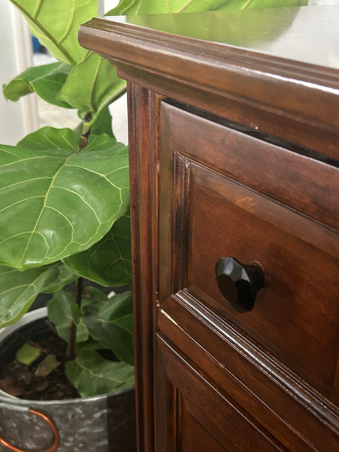 Raven Glass Knob