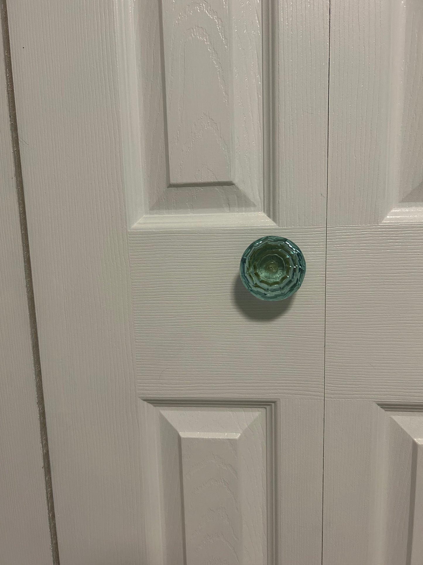 Eucalyptus Large Glass Knob