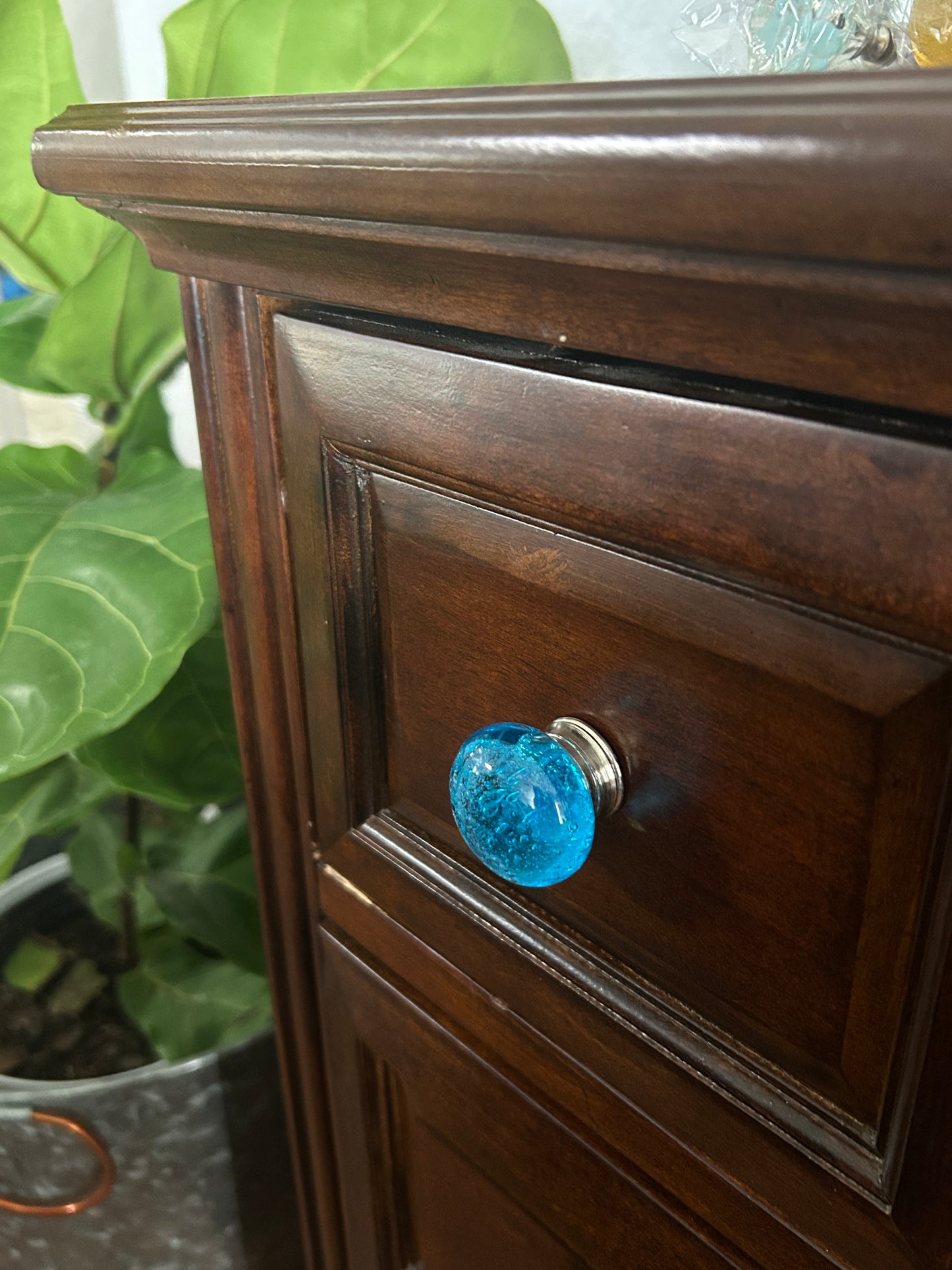 Jelly Fish Glass Knob