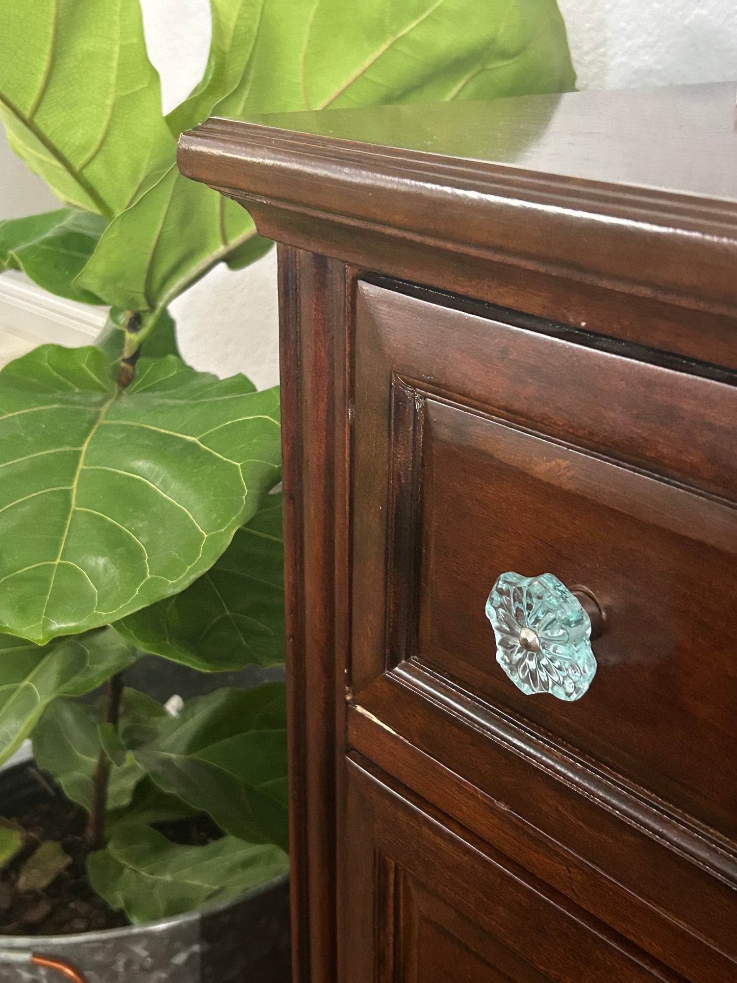 Sea Flower Glass Knob