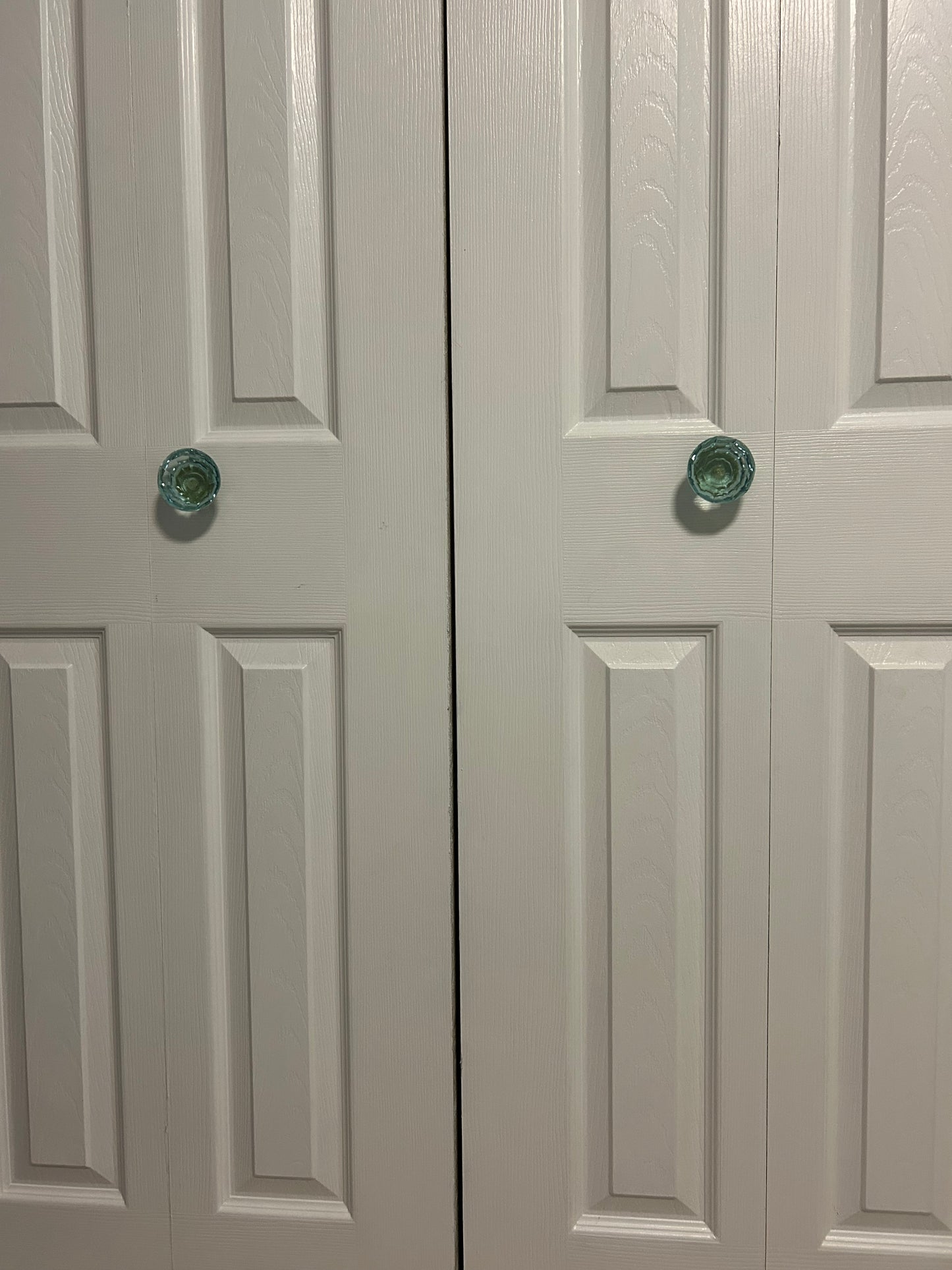 Eucalyptus Large Glass Knob