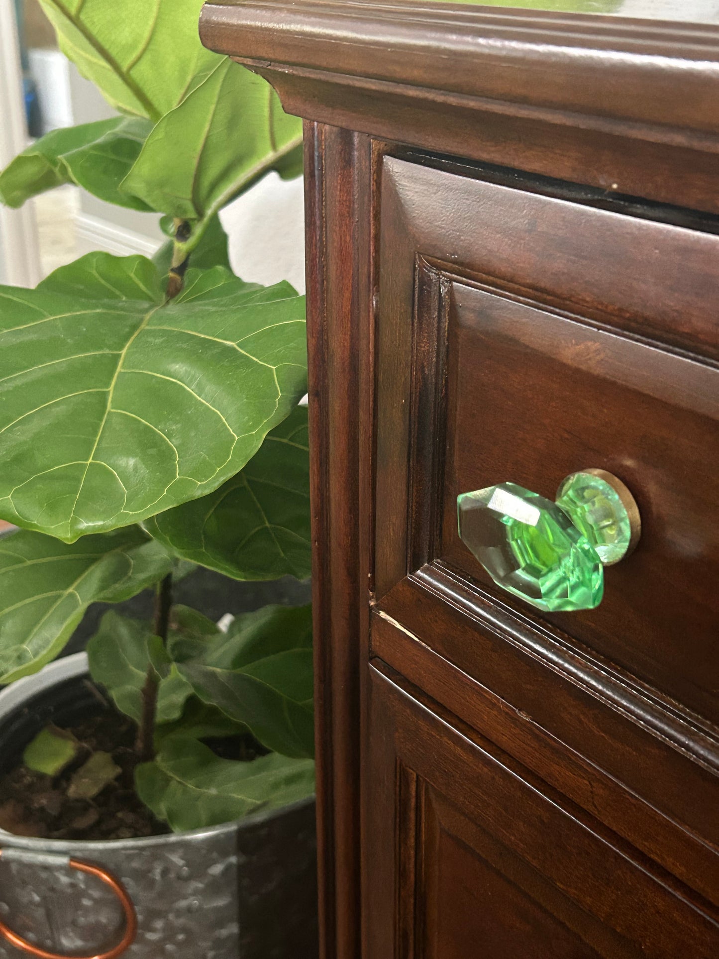 Rainforest Glass Knob